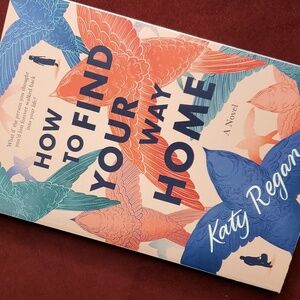 How‎ to Find Your Way Home a novel